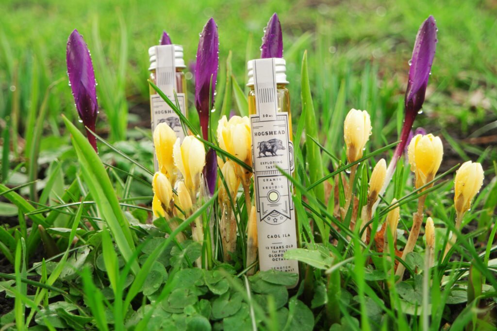 Hogshead Reviews: Ruadh Mor 11 & Caol Ila 13