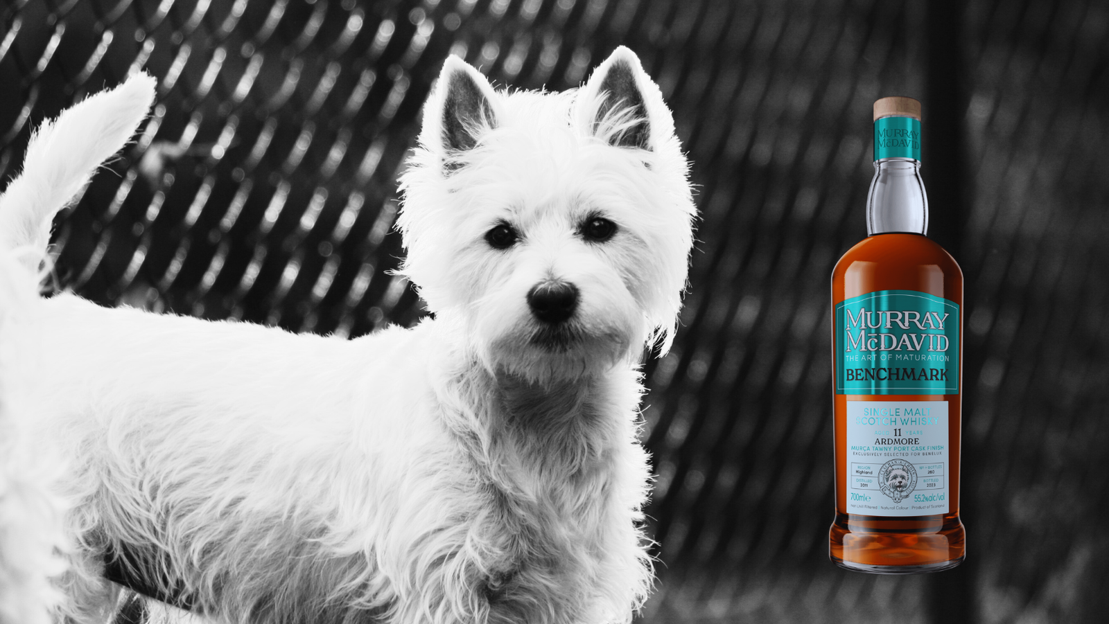 Murray McDavid - Ardmore 11 - Dram1 – Independent Whisky Reviews