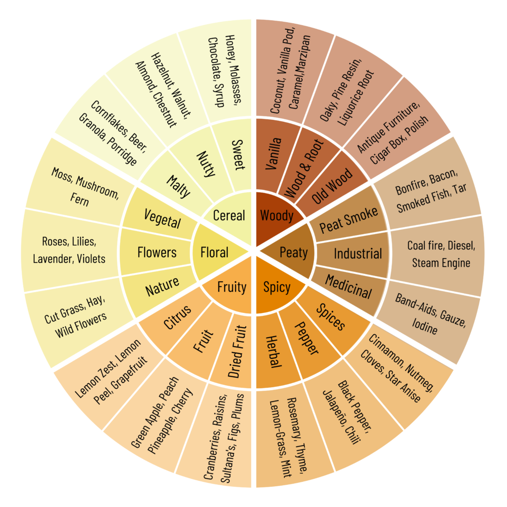 a whisky flavour wheel to learn how to taste whisky